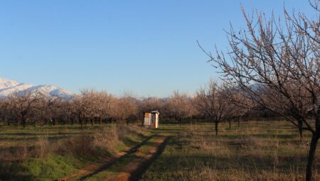 10 kVA Jeneratör ile Küçük İşletmelere Enerji Desteği