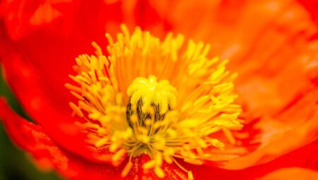 Aydınlatma Kulesi ile Güvenli Alanlar Yaratın