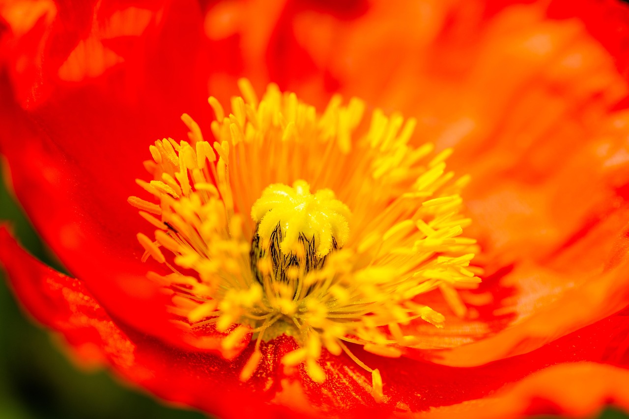 Aydınlatma Kulesi ile Güvenli Alanlar Yaratın