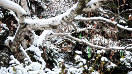 Jeneratör Kullanmanın Faydaları Neler?