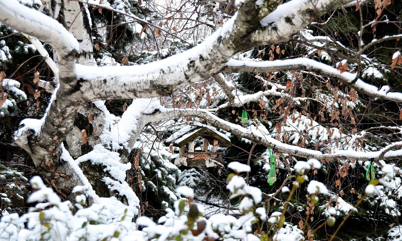 Jeneratör Kullanmanın Faydaları Neler?